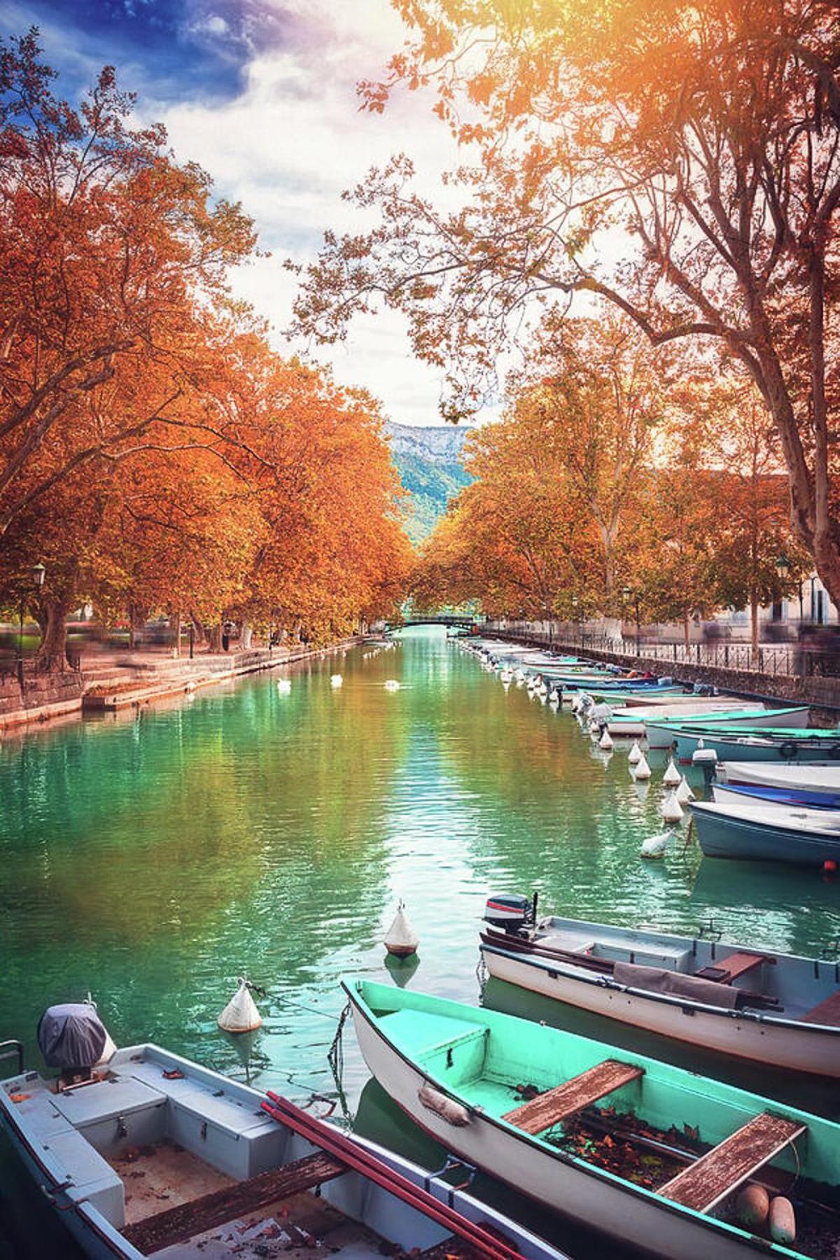 Reflet Bleu Du D'annecy 3 Etoiles - Face Au Lac, Parking Gratuit, Paddle Board Appartement Doussard